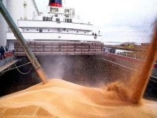 Poursuite de la hausse des importations de blé sur les 9 mois 2013