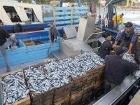Algérie-PNUD : accord pour la formulation d'une stratégie de développement de la pêche artisanale