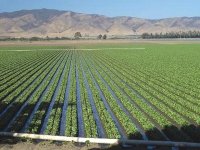 Nécessité d'encourager l'extension des superficies agricoles irriguées