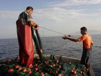 L'Algérie fait appel à l'expertise du PnudDéveloppement de la pêche artisanale