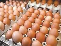 A cause des prix qui connaissent actuellement une flambéeL'Association des consommateurs appelle au boycott des 'ufs