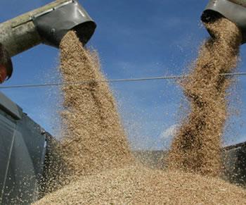 La facture est saléeIMPORTATION DE BLE DURANT LES NEUF PREMIERS MOIS DE 2013