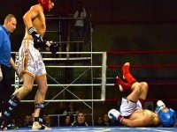 Gala international de kick-boxing à Oran : Une soirée passionnante et spectaculaire