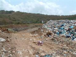 التلوث يهدد الوادي الكبير بالشيڤارة في ميلةمديرية البيئة مطالبة بالتدخل