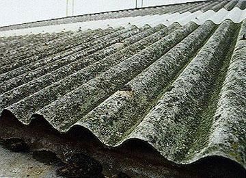 الأميونت والعطش والقاذورات تفتك بقرية سد وادي لكحل بعين بسامثالوث من المشاكل أرق سكانها بالبويرة