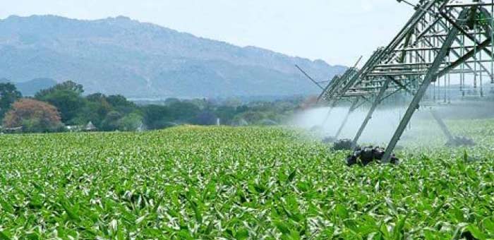 Pas d'inquiétude chez les agricuteurs, malgré un début de sécheresse en Algérie