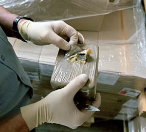 بناء على معلومات استخباراتية من غرب البلاد                    حجز 25 قنطارا من الكيف في فيلا بتبسة