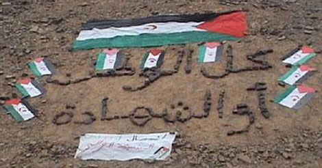 تشكيل هيئة للتضامن مع الشعب الصحراوي وفرض عقوبات على المغرب