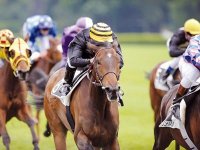 PEGASE D'ARGENT EN POLE POSITIONLes courses a zemmouri