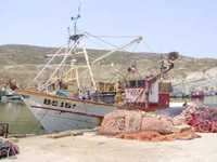 AIN TEMOUCHENTLes investisseurs veulent se lancer dans la production des crustacés