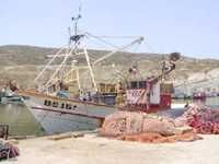 AIN TEMOUCHENTLes investisseurs veulent se lancer dans la production des crustacés