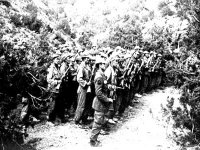 La guerre de libération, couronnement de la lutte intellectuelle et politique du peuple algérien (historien)