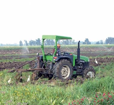 98 % des cultures dépendent de la générosité du cielIrrigation des terres agricoles