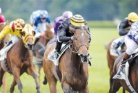 Gare aux surprises !Les courses a Caroubier