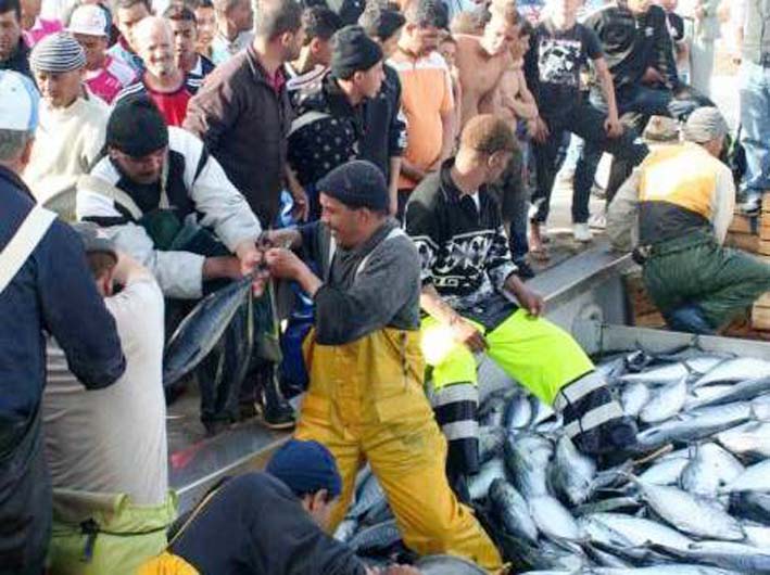 Pêche : Des mesures incitatives à l'investissement productif dès 2014