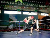 Coup d'envoi du festival national des écoles de boxe à Bouira