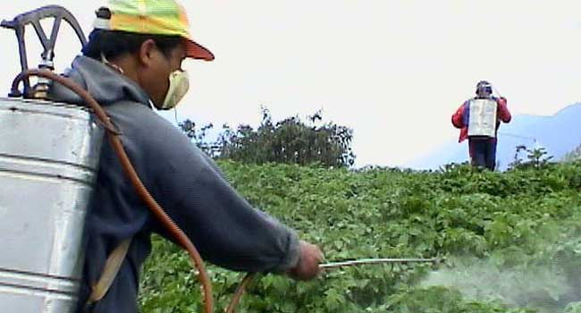 Algérie - L'utilisation abusive d'insecticides déséquilibre l'écosystème de la plaine du Chéliff