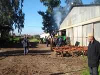 Encadrement des fermes-pilotes à Oum El-BouaghiVers le recrutement de diplômés universitaires