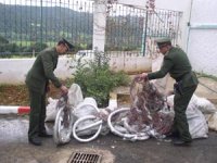 Démantèlement d'un réseau de trafic de cuivreOran