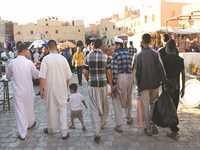 8 personnes infectées hospitalisées dont 1 dans un état graveAlerte au paludisme à Ghardaïa