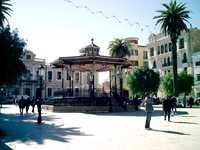 Journée d'information à SIDI BEL-ABBèSLa collecte des déchets ne concerne-t-elle donc pas la mairie '