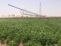 El-Tarf se prépare à accueillir le ministre de l'agricultureLes exploitants agricoles attendent beaucoup de Abdelouahab Nouri