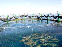 CAP-ADS : signature d'une convention pour accompagner les jeunes à l'investissement en aquaculture