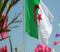 مواكب مزينة بالأعلام الوطنية تحاصر قنصلية المغرب وعلم يرفرف فوق كل بيت بوهران