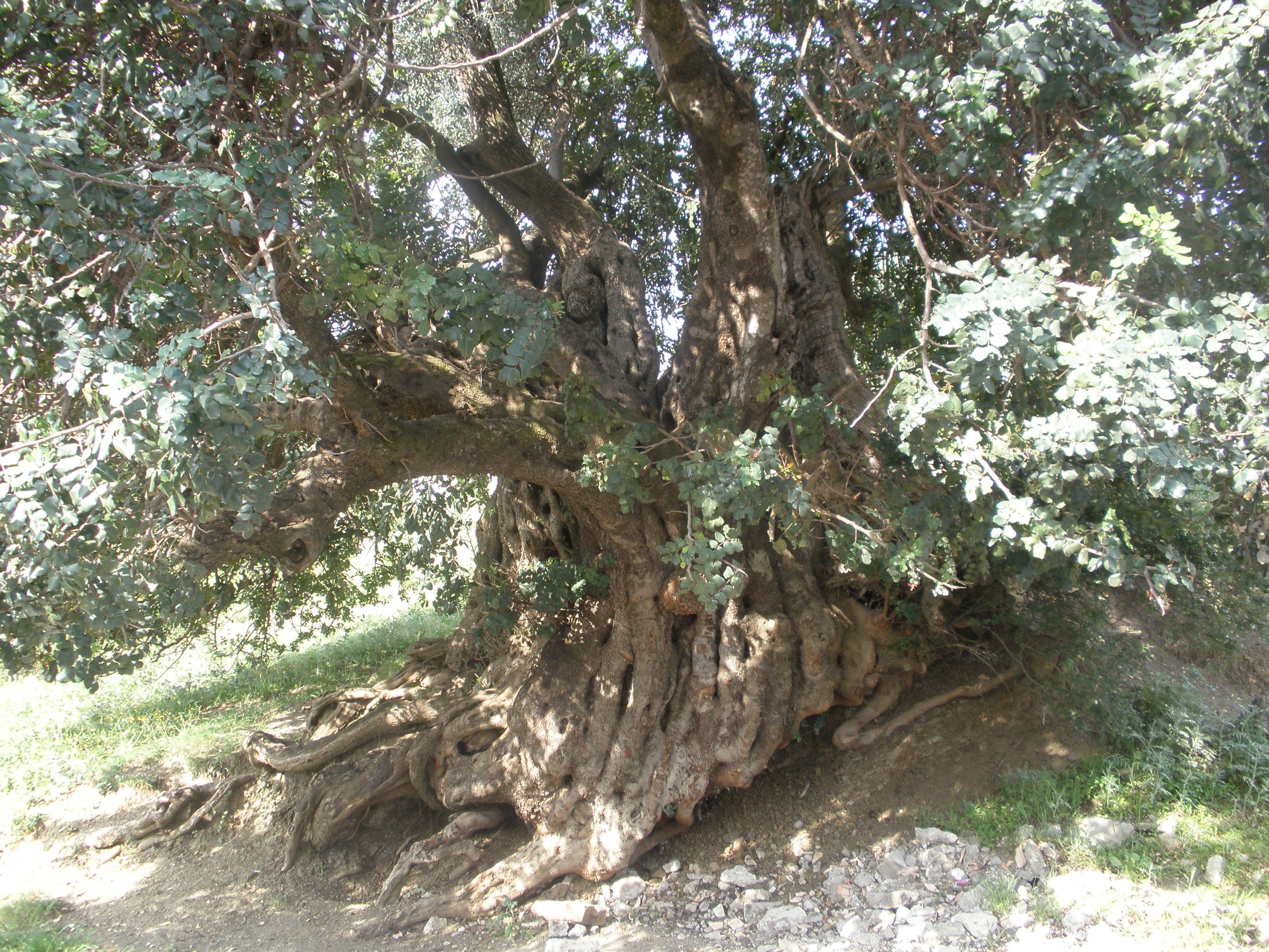 Je me suis posé la question, de ne plus me poser la question « qui suis-je ? » Même si cette question me hante. Mais plutôt qu’est ce que je deviendrai demain ?