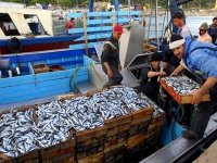 Bientôt un statut spécifique à la pêche artisanale (responsables)