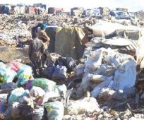 تيزي وزو: البيئة بمنطقة القبائل تدق ناقوس الخطر