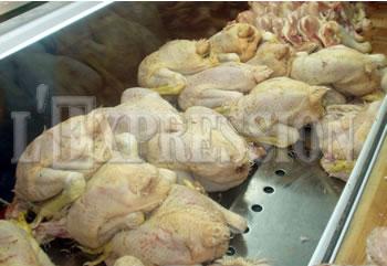 Le prix du poulet baisse et la viande stagneLE MARCHE FLUCTUE