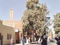 TamanrassetUne enveloppe complémentaire de 3 070 milliards de centimes pour la wilaya