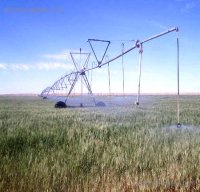 Sellal visite une exploitation agricole et s'enquiert du développement de l'agriculture à Khenchela