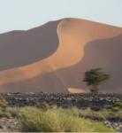 Les facs de médecine au sud : ces mirages du désert-Etudiant : les autres articles