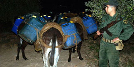 إحباط محاولة تهريب 9550 لتر من الوقود بتمنراست