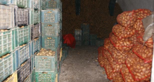 لجنة وزارية بمعسكر لاحترام الدعم الموجه للتبريد