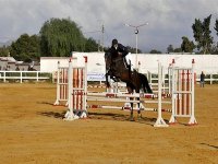 Grand prix de la ville d'Oran : Bentabet remporte le concours des sauts d'obstacles