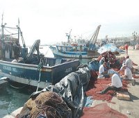 تيزي وزو تستفيد من مشاريع عصرنة الصيد البحري بسواحلها