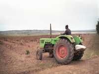 PLUIE À CHLEF ET SIDI BEL-ABBÈSSoulagement des agriculteurs