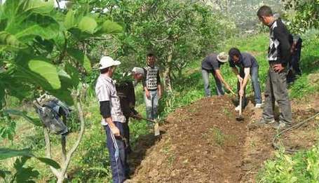 Sécurité alimentaire : Les sherpas se réunissent à Alger
