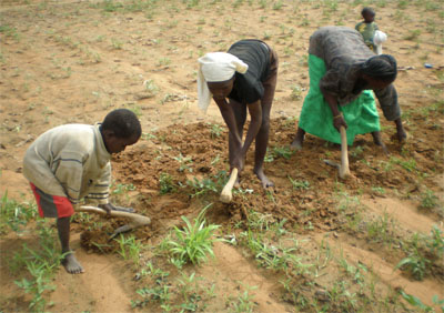 Ouverture des travaux des experts en agriculture des 13 Etats membres du Ciheam