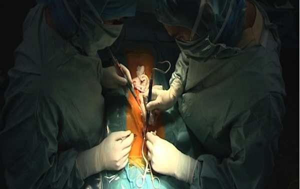 Réussite d'une opération chirurgicale orthopédique à El Eulma