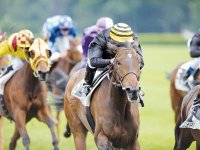 L'ENTRAINEMENT K.FEGHOULI EN FORCE