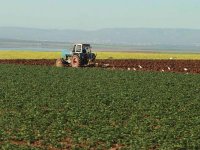 Pour une sécurité alimentaire régionale durableConférence ministérielle du dialogue 5+5 sur l'agriculture