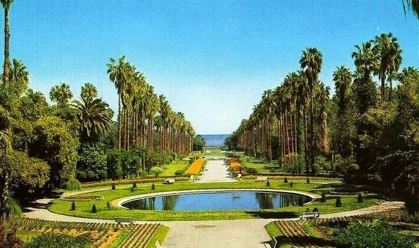 صحفي فرنسي يتعرض للسرقة بحديقة الحامة بالجزائر العاصمة