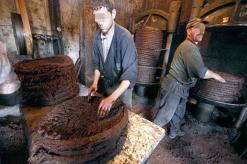 التعبئة والتغليف يؤرقان منتجي زيت الزيتون بالبويرةحشرة مجهولة تفتك بالمنتوج