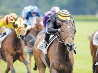 SUPER CAGNOTTE AU PARI QUINTE