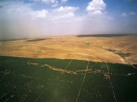 L'Algérie doit lancer un second plan de barrage vert (ministre)