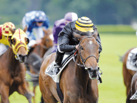 LES PENSIONNAIRES DE TIARET EN FORCE